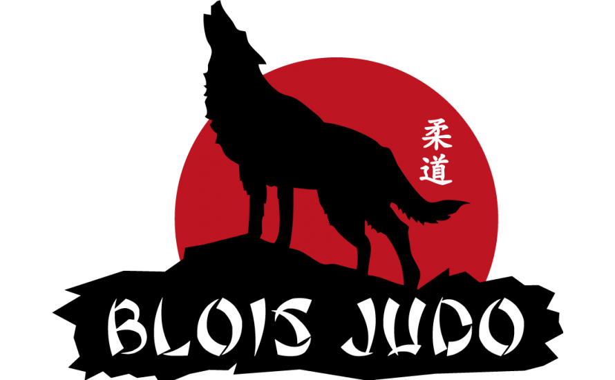 Logo du BLOIS JUDO